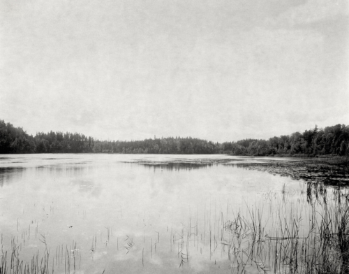 Mein See in Schweden am letzten Tag. Aufnahme im Format 4x5 direkt belichtet auf Fotopapier.