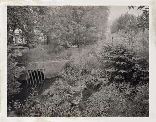 An der Mühlenau nahe Farnhornstieg, Aufnahme 4x5 analoges Großformat, weiter bearbeitet in Hipstamatic