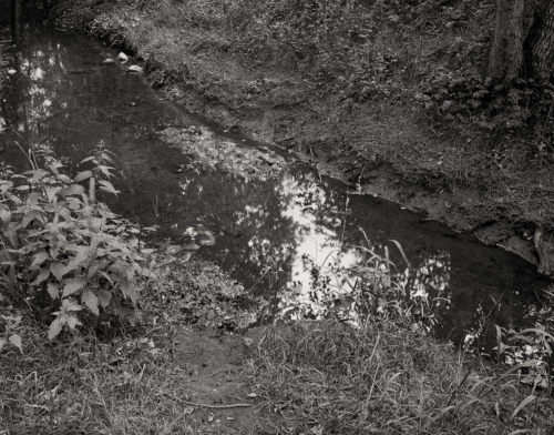 Die Kollau in der Eidelstedter Feldmark. Aufnahme im analogen Großformat 4x5 in Schwarzweiß