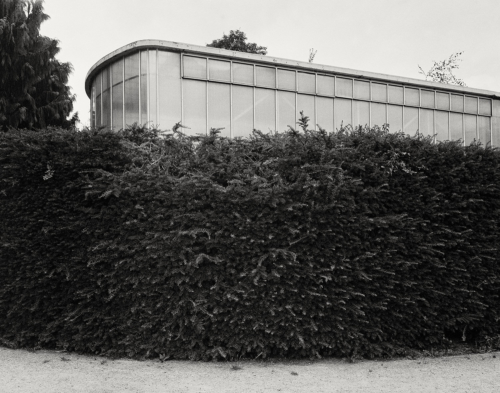 Gewächshaus im Jenischpark Hamburg. Fotografie im analogen Großformat 4x5 auf Foma Retropan 320.