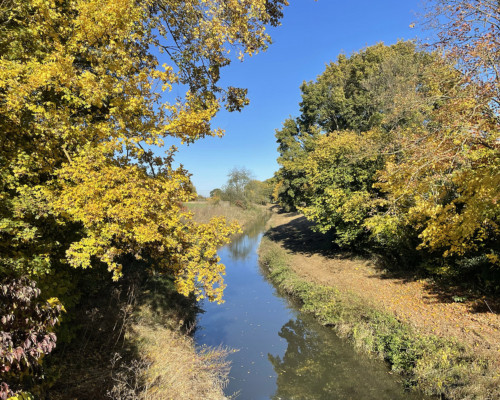 Die Nidda bei Wickstadt, Wetterau. Sehr herbstlich mit goldgelbem Laub.