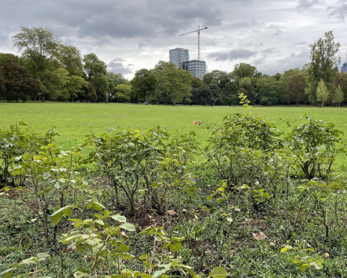 Unfreundliche Stimmung im Grüneburgpark