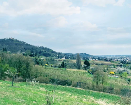 Landschaft an der Bergstraße bei Zwingenberg- Links oben auf dem Berg Schloß Auerbach.